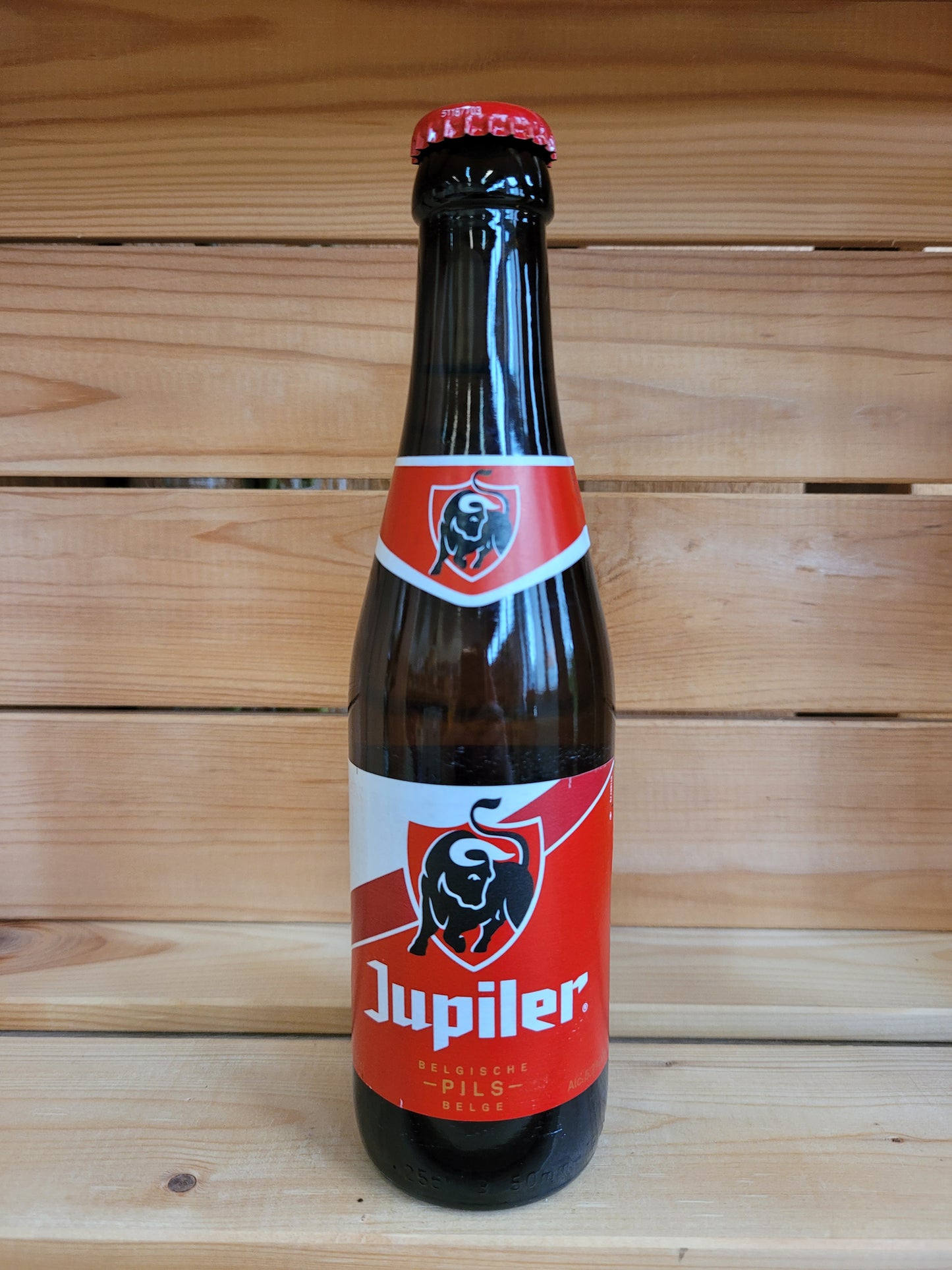 Jupiler Pils | Alk. 5,2% vol. | 0,25L